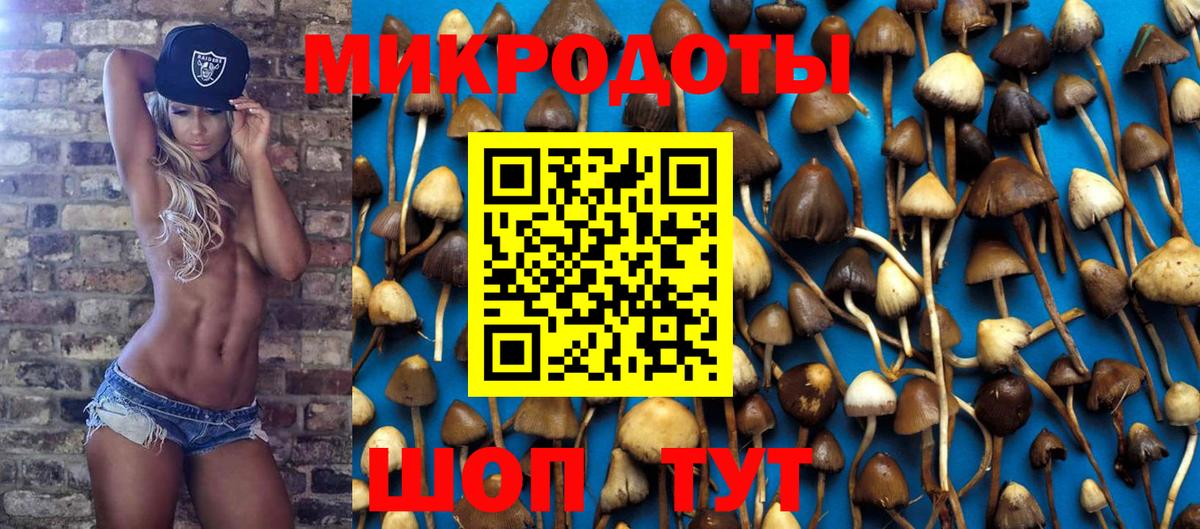 Галлюциногенные грибы Psilocybine cubensis  Вход с VPN  Кисловодск 